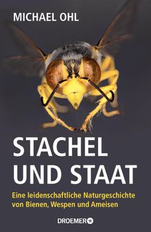 Stachel und Staat