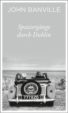 Spaziergnge durch Dublin