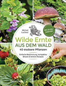 Wilde Ernte aus dem Wald - 40 essbare Pflanzen - einfache Bestimmung, kompaktes Wissen und leckere Rezepte