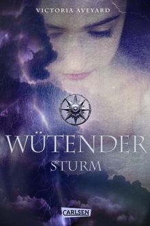 Wtender Sturm (Die Farben des Blutes 4)