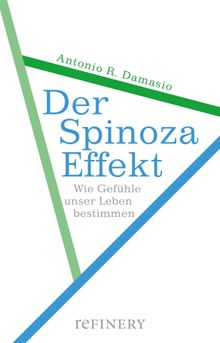 Der Spinoza-Effekt