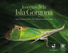 Insectos de la Isla Gorgona