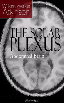 THE SOLAR PLEXUS - Abdominal Brain