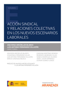 Accin sindical y relaciones colectivas en los nuevos escenarios laborales