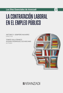 La contratacin laboral en el Empleo Pblico