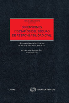 Dimensiones y desafos  del seguro de responsabilidad civil