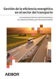 Gestin de la eficiencia energtica en el sector del transporte