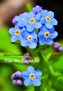 No me esqueas