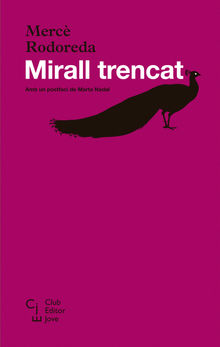 Mirall trencat