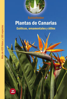 Plantas de Canarias