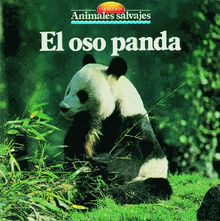 El oso panda