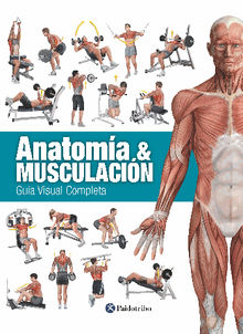 Anatoma & Musculacin