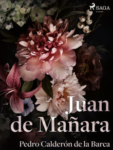 Juan de Maara