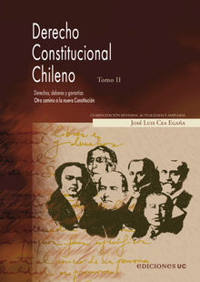 Derecho constitucional. Tomo II