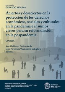 Aciertos y desaciertos en la proteccin de los derechos econmicos sociales y culturales en la pandemia e insumos claves para su reformulacin en la pospandemia