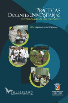 Prcticas docentes universitarias