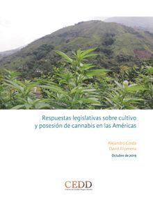 Respuestas legislativas sobre cultivo y posesin de cannabis en las Amricas