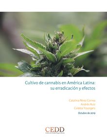 Cultivo de cannabis en Amrica Latina, su erradicacin y efectos