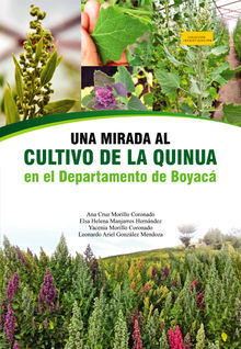 Una mirada al cultivo de la quinua en el departamento de Boyac