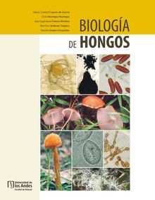 Biologa de hongos