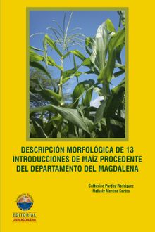 Descripcin morfolgica de 13 introducciones de maz procedente del Departamento del Magdalena