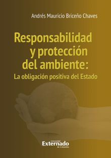 Responsabilidad y proteccin del ambiente : la obligacin positiva del Estado