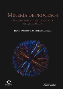 Minera de procesos