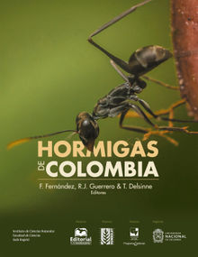 Hormigas de Colombia