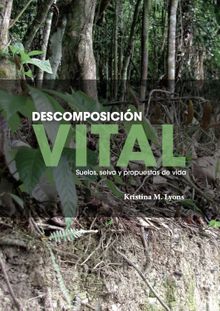 Descomposicin vital