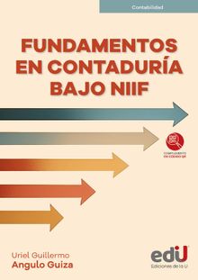 Fundamentos en contadura bajo NIIF