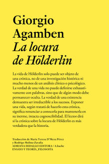 La locura de Hlderlin