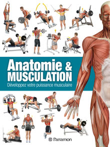 Anatomie & Musculation