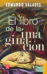 EL LIBRO DE LA IMAGINACIN