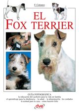 EL FOX TERRIER