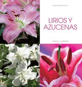 LIRIOS Y AZUCENAS - CULTIVO Y CUIDADOS