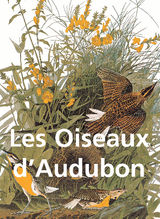 LES OISEAUX D'AUDUBON