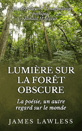 LUMIRE SUR LA FORT OBSCURE