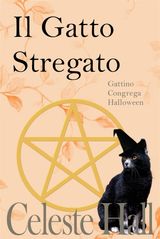 IL GATTO STREGATO