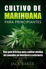 CULTIVO DE MARIHUANA PARA PRINCIPIANTES