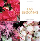 LAS BEGONIAS