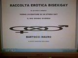 RACCOLTA EROTICA BISEX GAY (PORN STORIES)