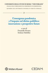 L&APOS;EMERGENZA PANDEMICA E L&APOS;IMPATTO SUL DIRITTO PUBBLICO: INNOVAZIONE E PROSPETTIVE FUTURE