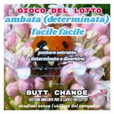 GIOCO DEL LOTTO: AMBATA (DETERMINATA) FACILE FACILE [MAT MARLIN]