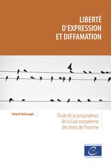 LIBERT D&APOS;EXPRESSION ET DIFFAMATION