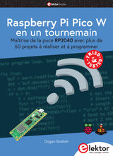 RASPBERRY PI PICO W EN UN TOURNEMAIN