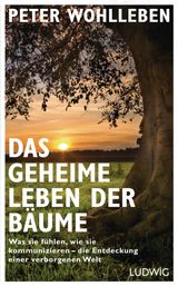 DAS GEHEIME LEBEN DER BUME