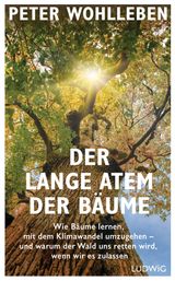 DER LANGE ATEM DER BUME