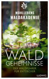 WALDGEHEIMNISSE