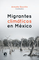 MIGRANTES CLIMTICOS EN MXICO