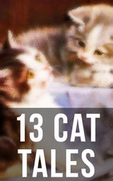 13 CAT TALES